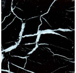 Mármore Nero Marquina